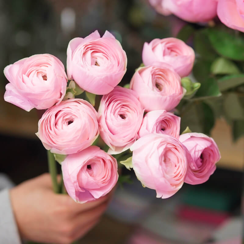 Our Instagram - Flowers X Webflow Template